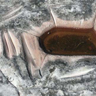 A close up photo of a rock slab with a small pool of stagnant water in a recess has a collection of grooves scraped into the stone around it.