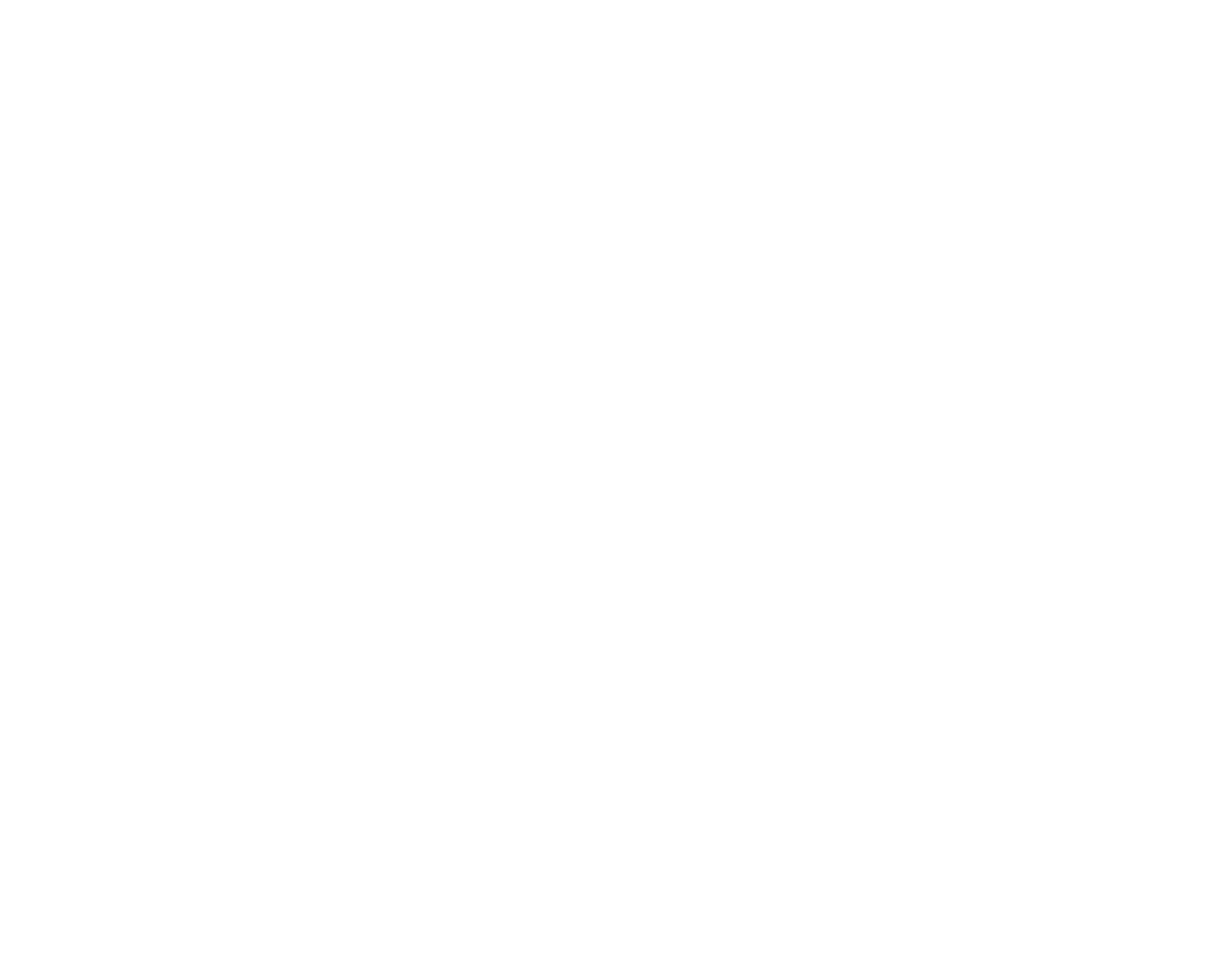 Lizard artwork